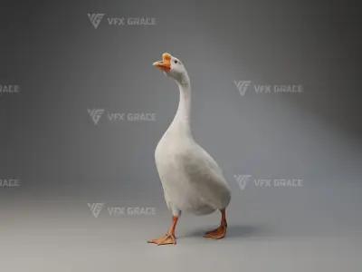 Big White Goose Male Animation - VFX Grace 3D model
