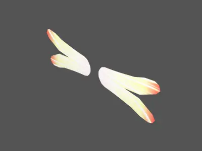 Low Poly Wings v2 001 Free low-poly 3D model