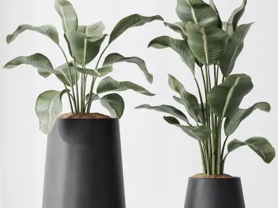 Premium Plant Set High Quality 3D Model Collection 3D model