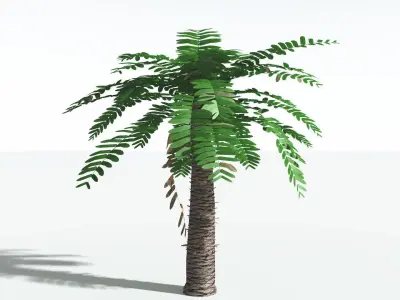 EVERYPlant Pseudoctnis Cycad LowPoly 1 --12 Models-- Low-poly 3D model