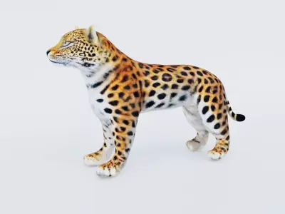 Leopard Free 3D model