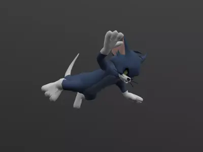 TOMC-003 Tom Cat Falling Low-poly 3D model