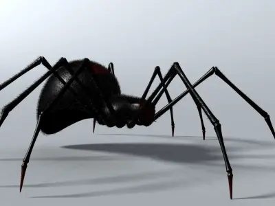 Black Spider Rigged Low-poly 3D model