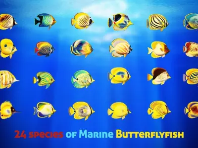 Cartoon Butterflyfish  Low-poly 3D model