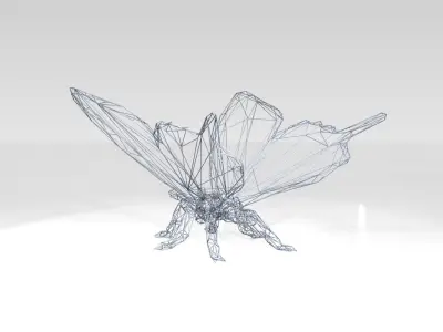 Butterfly Wireframe 3D model
