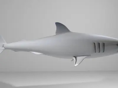 Shark - Great White 3D model