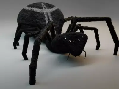 Spider 3D model