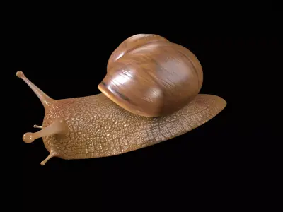 Snail PBR GameReady Model Low-poly 3D model