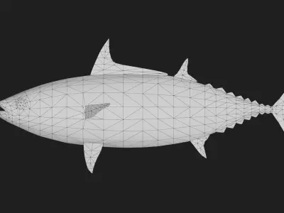 Bonito Low-poly 3D model
