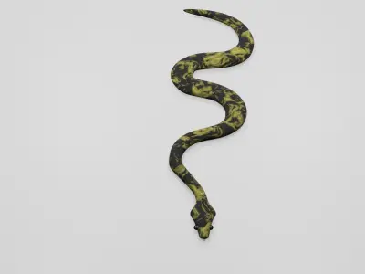 Snake Free low-poly 3D model
