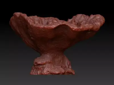 Sea Coral Scan 1 3D model