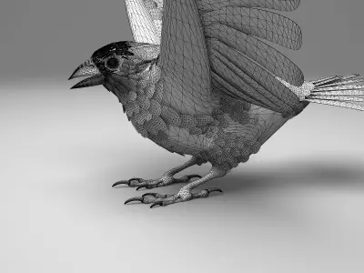 House finch - rigged - animated - Standard PBR VRAY Low-poly 3D model