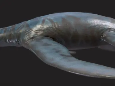 Brancasaurus The Graceful Swimmer of the Early Cretaceous Low-poly 3D model