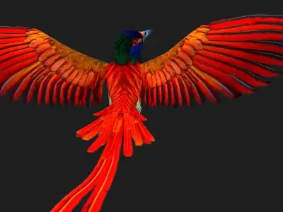 PheasantBird B6 3D model