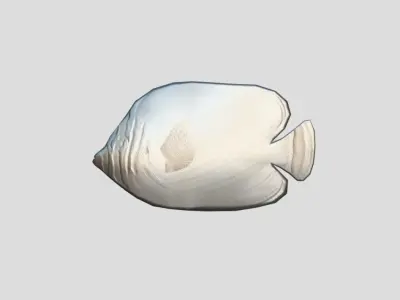 Clown Butterfly Realistic Animated Low-poly 3D model