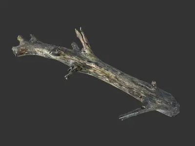 Realistic tree trunks with branches Low-poly 3D model