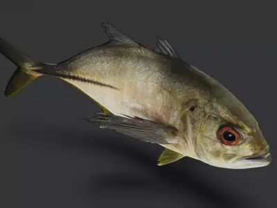 Giant Trevally Fish Animated 3D model
