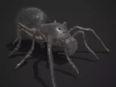 Black Spider Low-poly 3D model