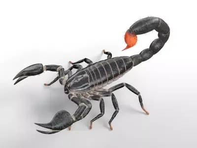 Scorpion insect Low-poly 3D model