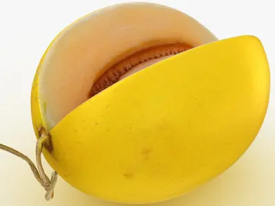 Golden&nbsp;Cantaloupe Cut 3D model