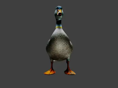 Duck Animal Low-poly 3D model