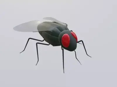 Mosquito - Fly Low-poly 3D model
