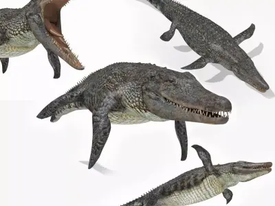 Ancient Marine Reptile - 8K animated 3D model