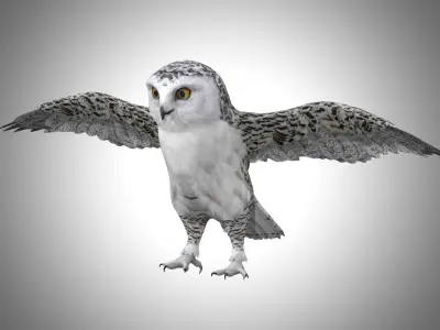  Snowy White Owl Low-poly 3D model