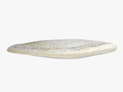 Pumpkin Seed 01 3D model