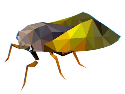 Animated Cicada Lowpoly Art Style Low-poly 3D model