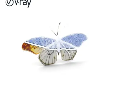 Butterfly Wings Spread Model Pack Low-poly 3D model
