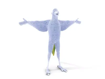 Vibrant Parrot Character model pack Low-poly 3D model