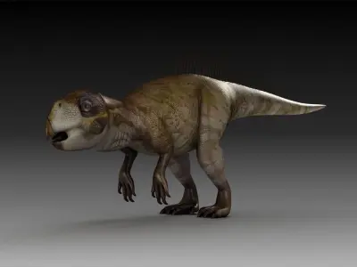 plant-eating Dinosaur Psittacosaurus an ancient Psittacosauridae 3D model