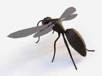 Flying ant 3d model  Low-poly 3D model
