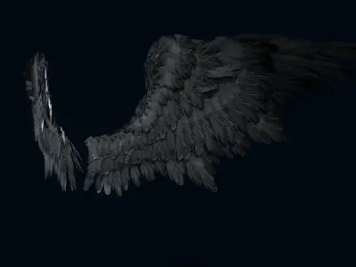 Wings Low-poly 3D model