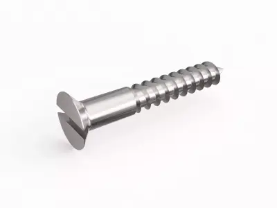 Screw 103 3D model