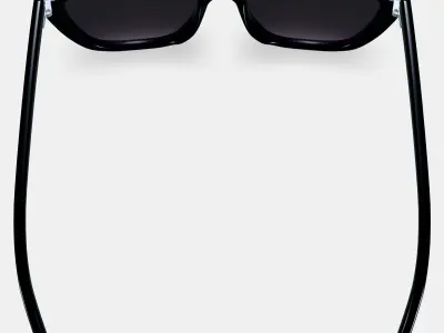 Janelle Sunglasses in Jet Black 3D model