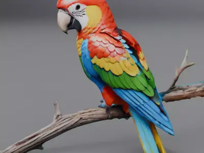 brazilian parrot 3D model