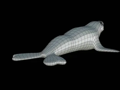 Elephant Seal Base Mesh Low-poly 3D model