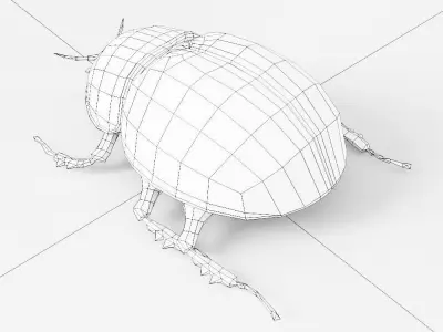 Beetle 3d model Low-poly 3D model
