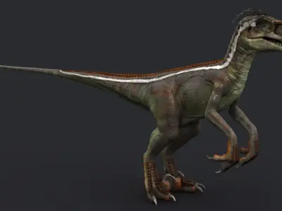 Velociraptor RIGGED 3D model