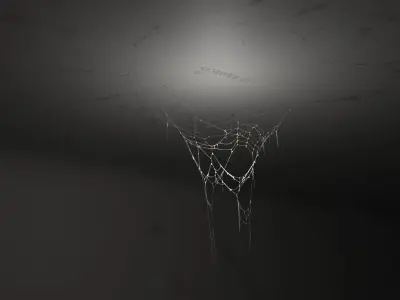 40 High Detailed COBWEBS 3D model