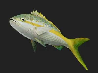 Snapper Low-poly 3D model