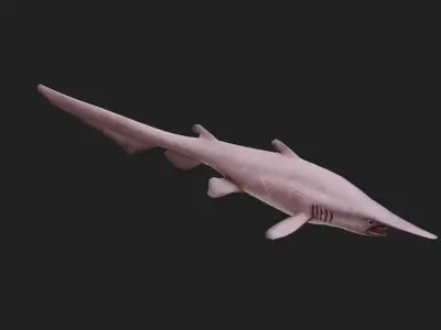 Goblinshark Low-poly 3D model