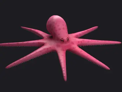 Octopus Cartoon fish underwater water nature sea ocean 3D model