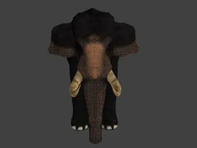 Low Poly Asian Elephant Low-poly 3D model