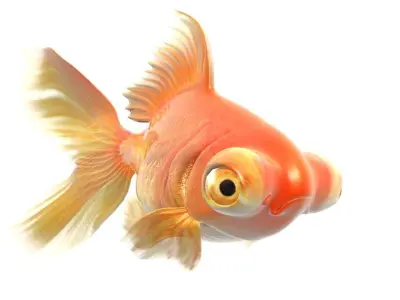 Goldfish Full RIGGED ANIMATED  3D model