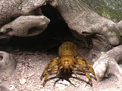 Spider game ready Low-poly 3D model