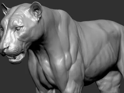 Tiger VFX ULTRA Cinematic Realistic Zbrush Sculpt 1 3D model