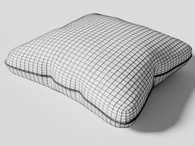 Pillow Pack with Textures Free 3D model